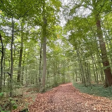 Ferienhaus Tiny Löwenzahn Visselhövede