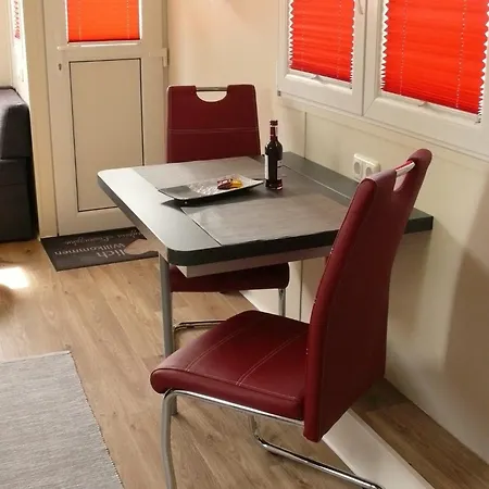 Tiny Löwenzahn Visselhövede