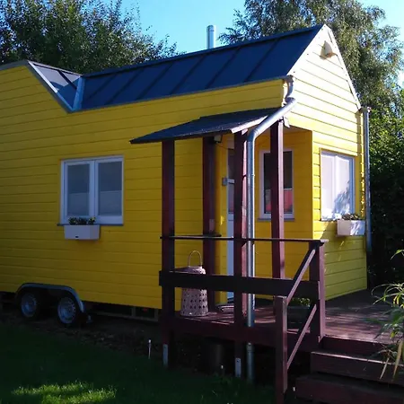 Tiny Löwenzahn Visselhövede